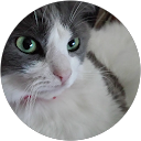 Elisabeth Sigalas profile picture