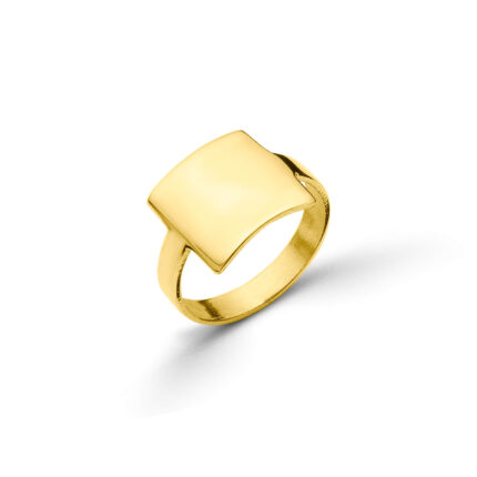 Δαχτυλίδι Ασημένιο 925 midi-chevalier | Lalino.gr