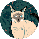 Q Anny profile picture